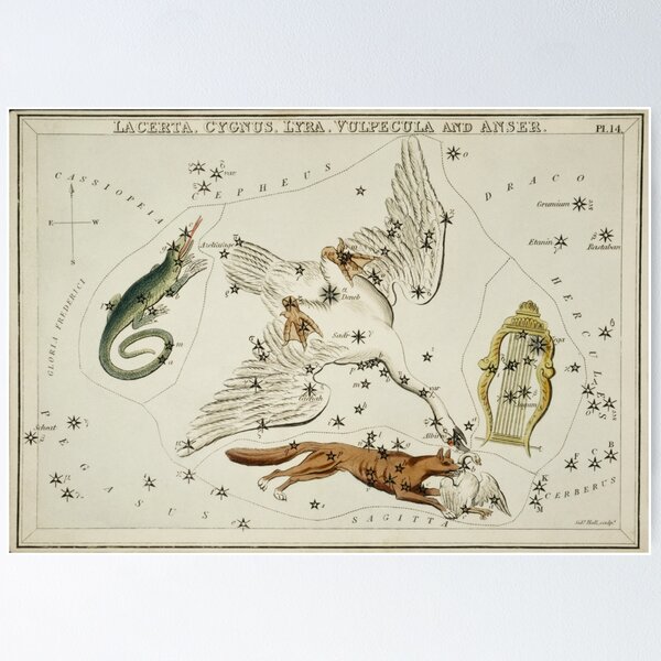 Item preview, the Lacerta, Cygnus, Lyra, Vulpecula and the Anser designed and sold by Nikkita-tennant.