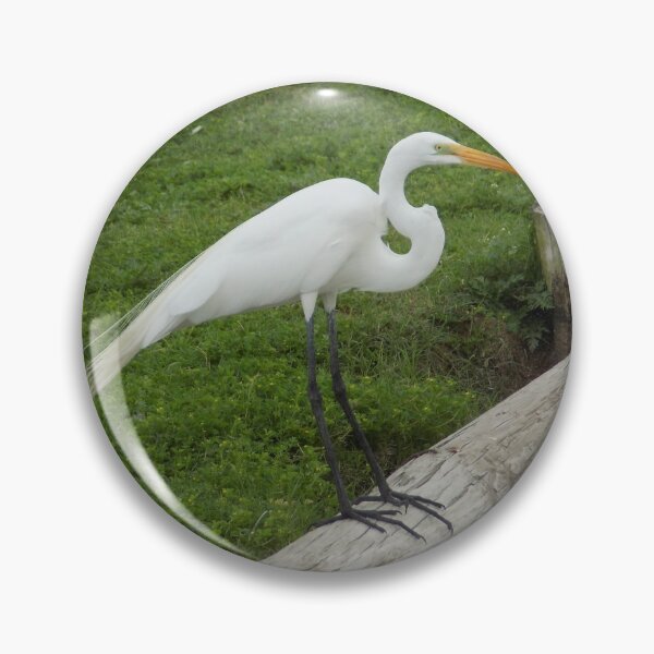 Item preview, Great Egret (Ardea alba) Overlooking a Pond designed and sold by Inuyasha907.