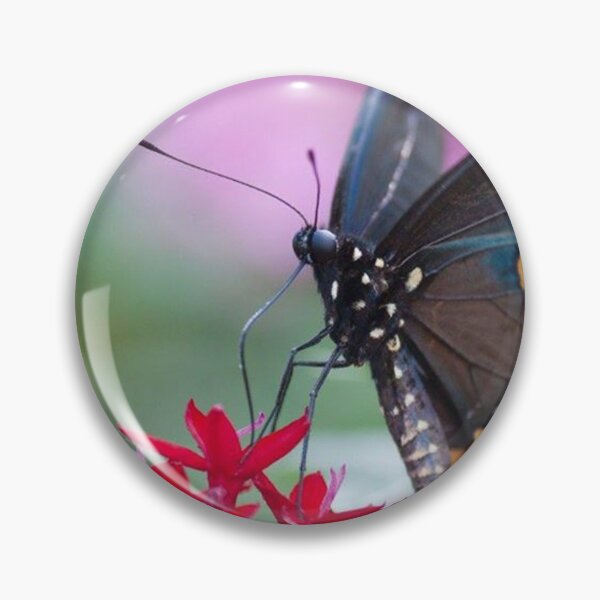 Item preview, Black Swallowtail II designed and sold by Jacquelie.