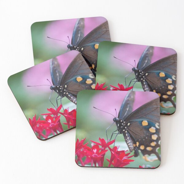 Item preview, Black Swallowtail II designed and sold by Jacquelie.