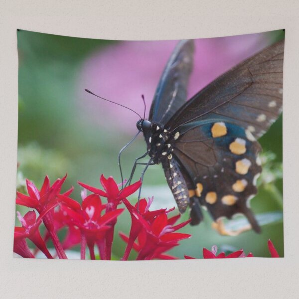 Item preview, Black Swallowtail II designed and sold by Jacquelie.