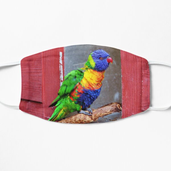 Rainbow Lory Mask