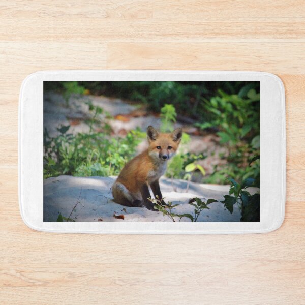 Item preview, Red Fox Kit designed and sold by Cynthia48.