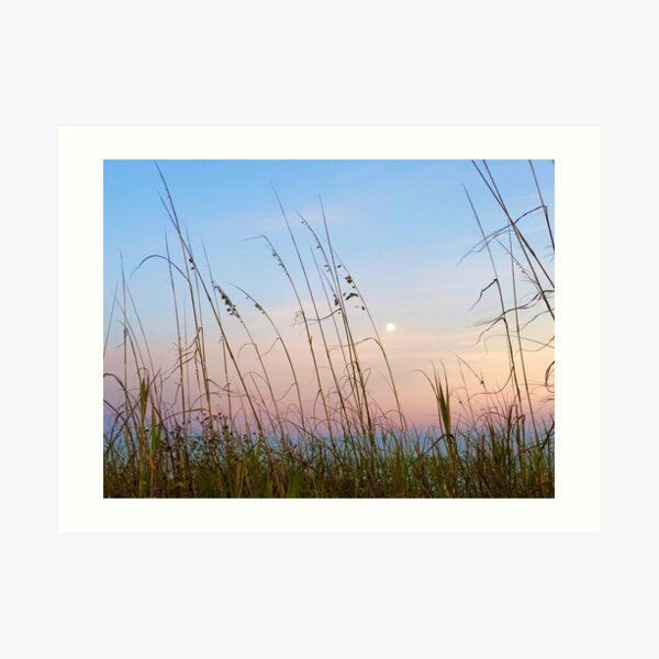 Sea Oats with Twilight Moon Art Print