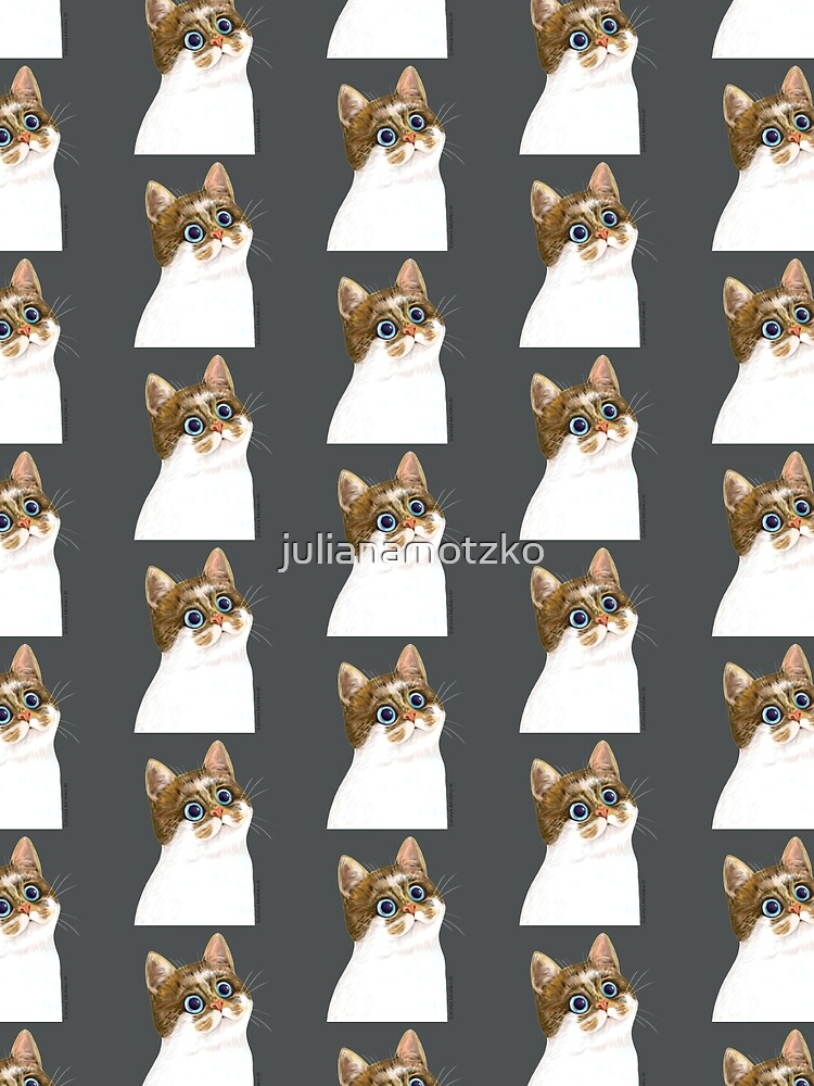 Cat by julianamotzko