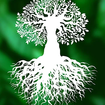 Artwork thumbnail, Rooted by InputVSOutput