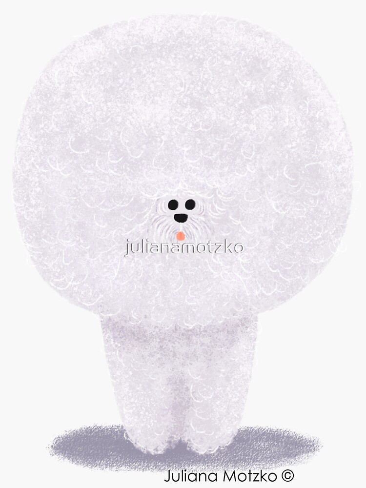 Bichon Frise by julianamotzko