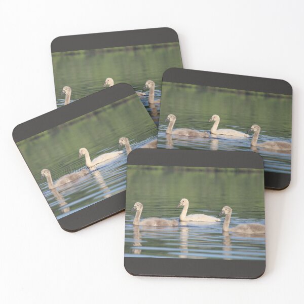 Item preview, Swan Babies designed and sold by JoanneKenney.