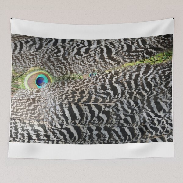 Item preview, feathered designed and sold by David Flitman.