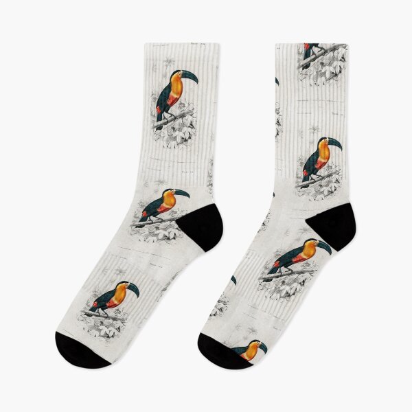 Item preview, Toucan designed and sold by bigted9.