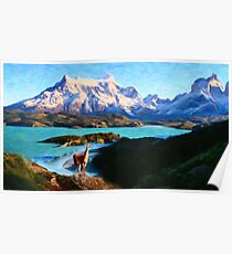 Torres del Paine National Park and the Llama, Chile Poster