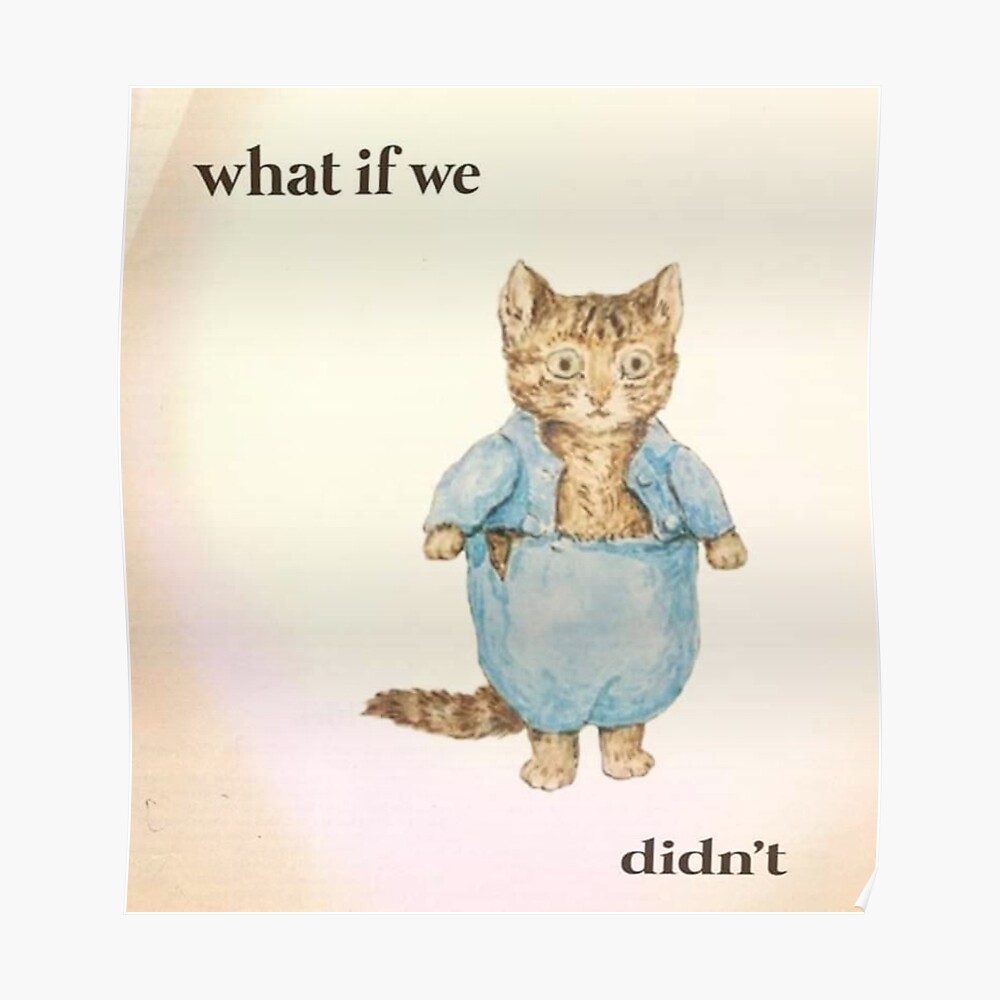 What If We Didn T Cat Meme Sticker By Orionsblackbelt Redbubble