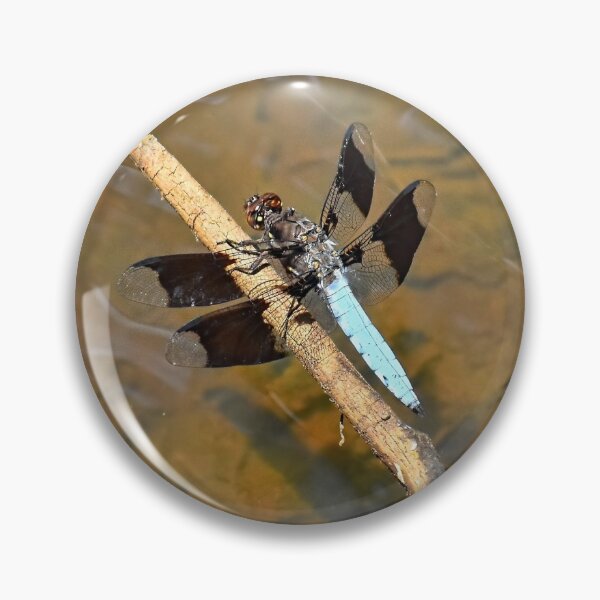 Stick Bug Pins And Buttons Redbubble - roblox bloxburg codes for a dragonfly cafe roblox codes youtube