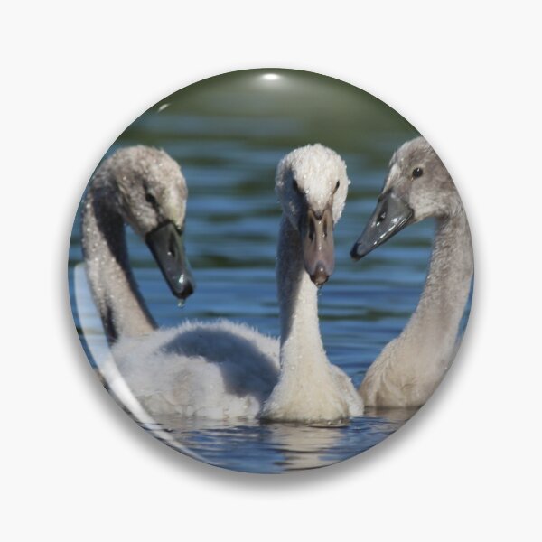 Item preview, Triplets designed and sold by JoanneKenney.