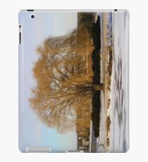 winter Landscape iPad Case/Skin
