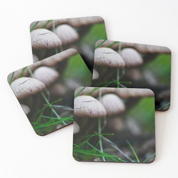 Item preview, After the Rain, Mushroom Forest designed and sold by tasturm1.