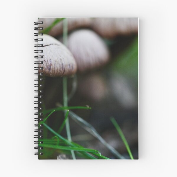 Item preview, After the Rain, Mushroom Forest designed and sold by tasturm1.