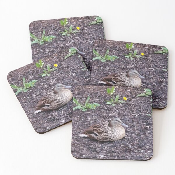 Item preview, Peaceful duck designed and sold by JTANDERSON.