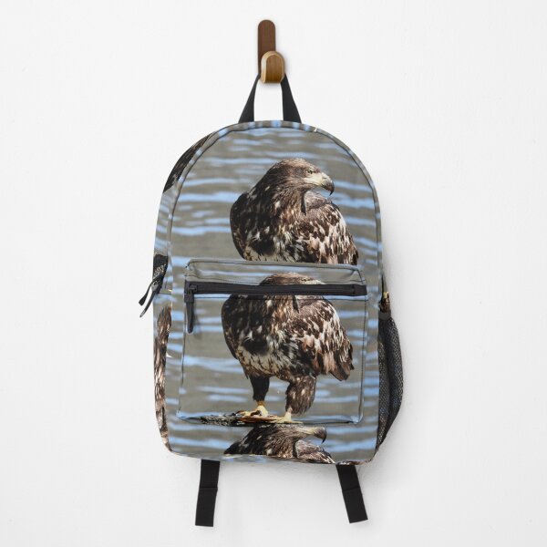 Item preview, Juvenile bald eagle designed and sold by RichImage.