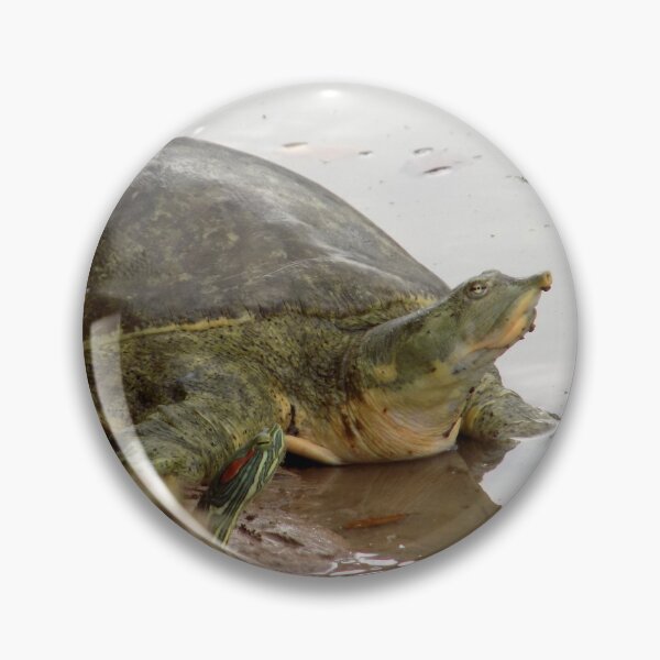 Item preview, Turtle Buddies designed and sold by Inuyasha907.