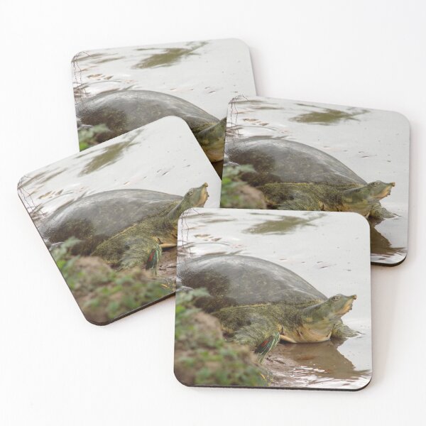 Item preview, Turtle Buddies designed and sold by Inuyasha907.