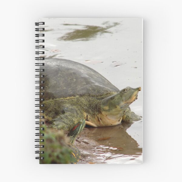 Item preview, Turtle Buddies designed and sold by Inuyasha907.
