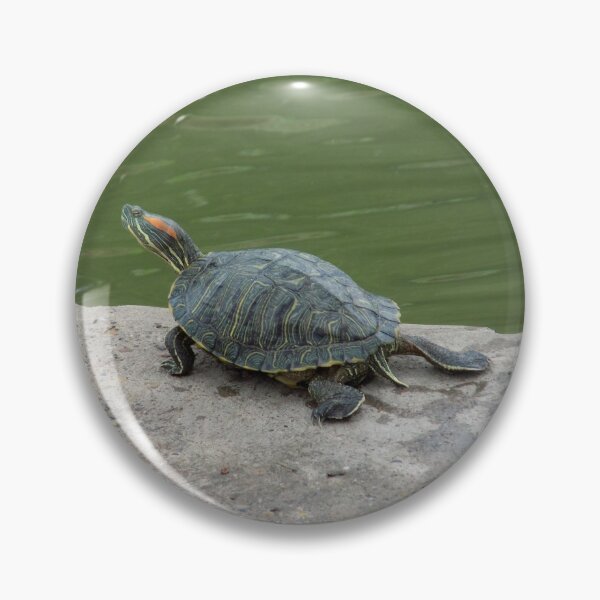 Item preview, Red-eared Slider Leggy designed and sold by Inuyasha907.