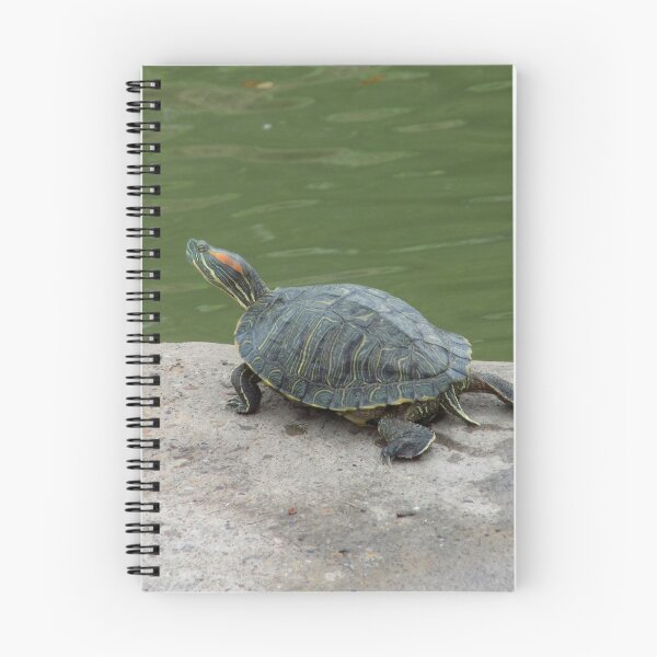 Item preview, Red-eared Slider Leggy designed and sold by Inuyasha907.