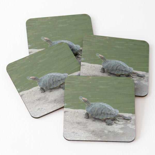Item preview, Red-eared Slider Leggy designed and sold by Inuyasha907.
