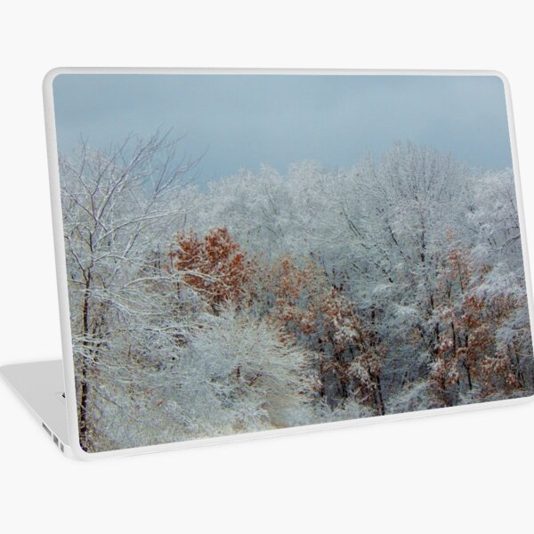 December Winter Solstice Laptop Skin