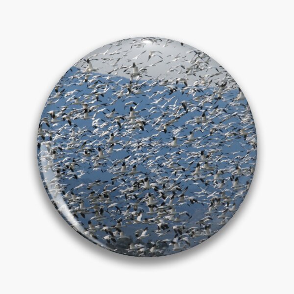 Item preview, Snow Geese, Snow Geese, Snow Geese.... designed and sold by Maurine Huang.