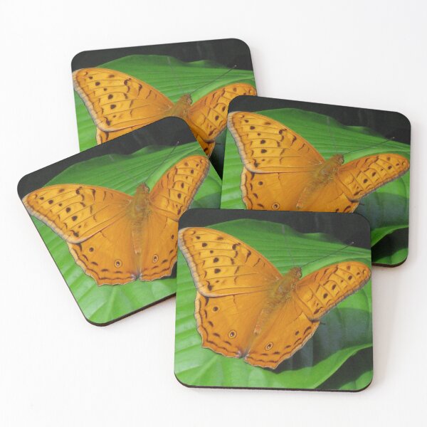 Item preview, Male Cruiser Butterfly (Vindula arsinoe) designed and sold by Marilyn Harris.