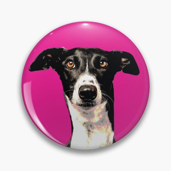 Item preview, Colorful pop art greyhound on orange yellow blue and pink designed and sold by houndpixnz.