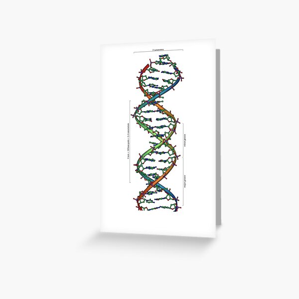 Item preview, DNA designed and sold by drubdrub.