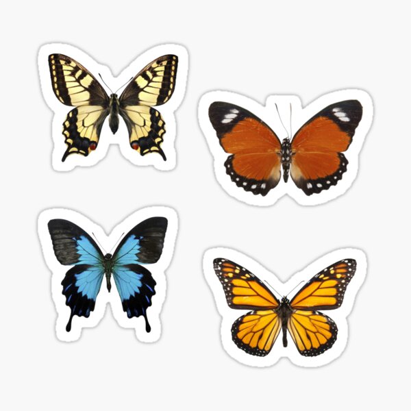 Item preview, butterflies designed and sold by maddywahoo.