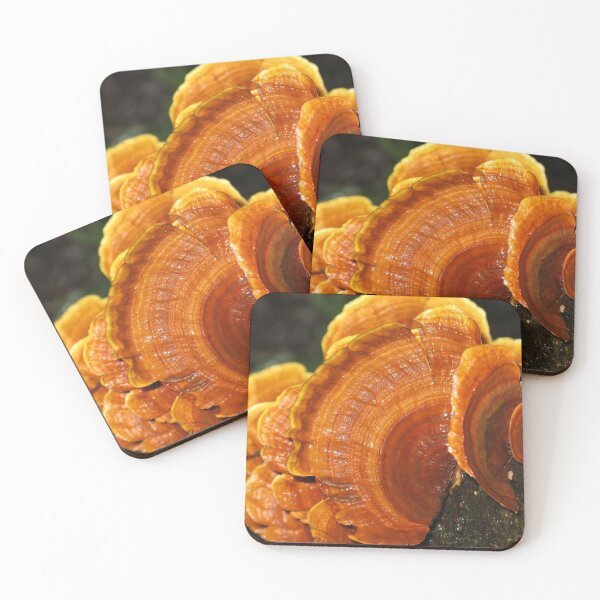Item preview, Orange Bracket Fungi designed and sold by Marilyn Harris.