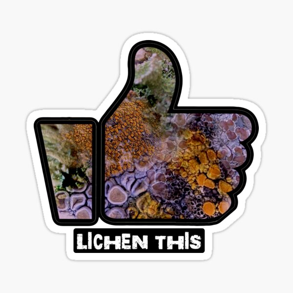 Item preview, Lichen This designed and sold by anashep.