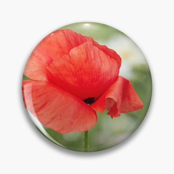 Item preview, Flanders poppy on the field of daisies designed and sold by Jouko Lehto Photography.