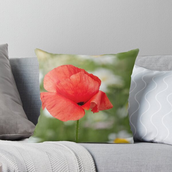 Item preview, Flanders poppy on the field of daisies designed and sold by Jouko Lehto Photography.