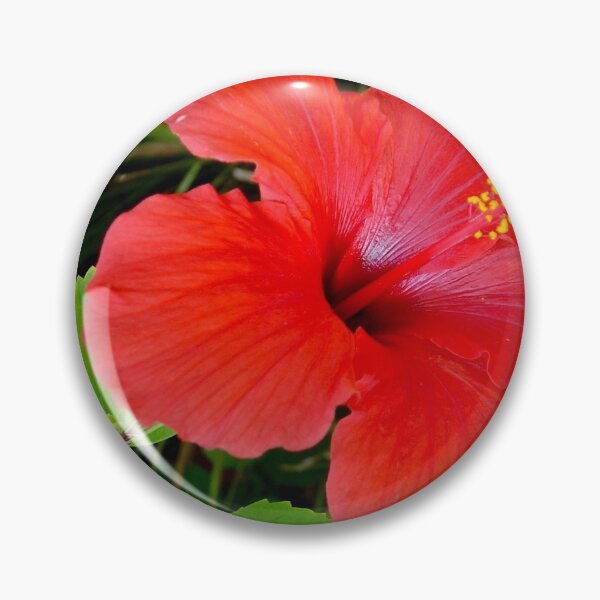 Item preview, Hibiscus  designed and sold by Asiantiger247.