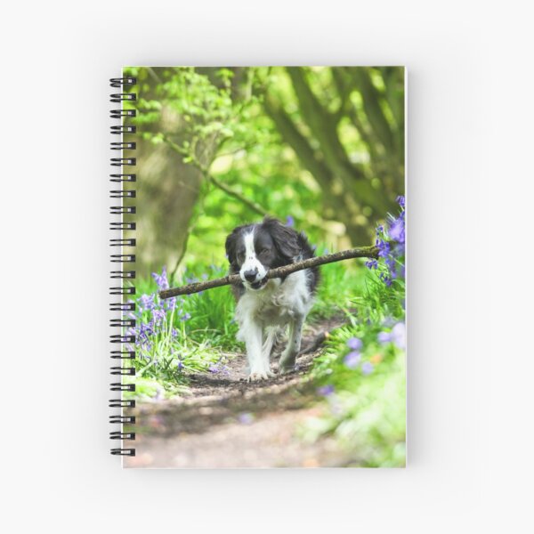 Molly and her stick Spiral Notebook