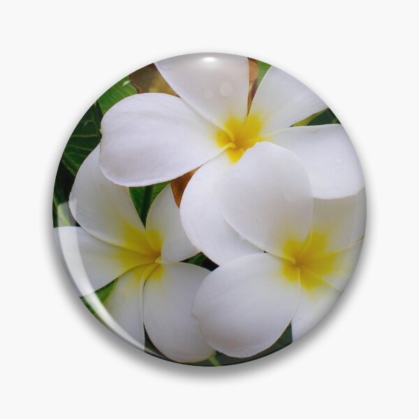Item preview, Frangipani designed and sold by Asiantiger247.