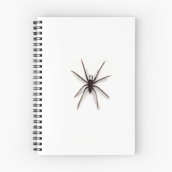 Item preview, Painted spider designed and sold by Florian Renard.