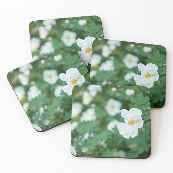 Item preview, Midsummer rose flowers designed and sold by Jouko Lehto Photography.