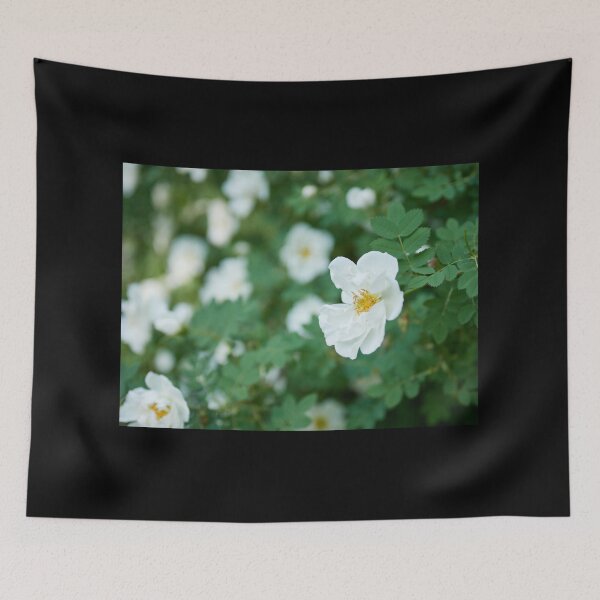 Item preview, Midsummer rose flowers designed and sold by Jouko Lehto Photography.