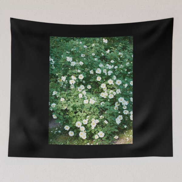 Item preview, Midsummer roses all over designed and sold by Jouko Lehto Photography.