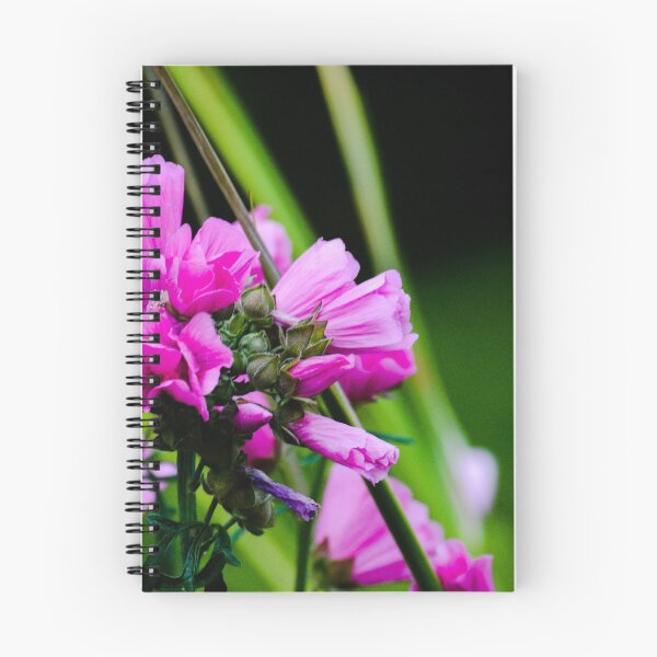 Item preview, Malva cathayensis designed and sold by Asiantiger247.