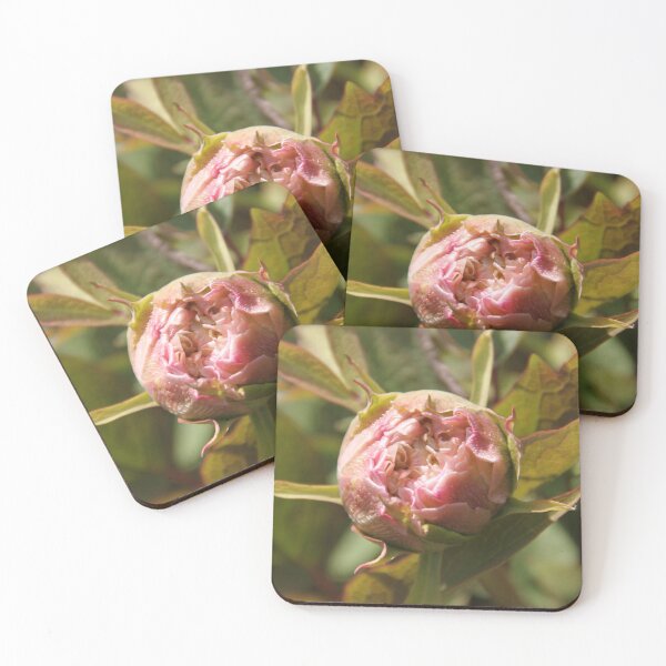 Item preview, Peony bud spring flower blossom	 designed and sold by EstelleRossetti.