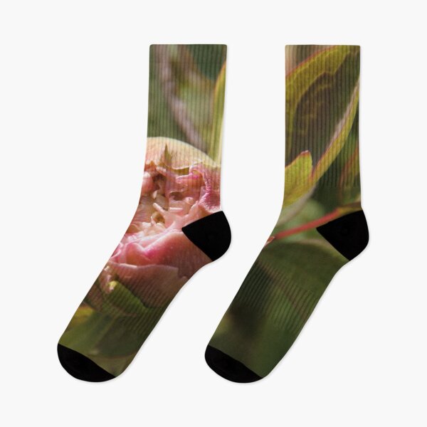 Item preview, Peony bud spring flower blossom	 designed and sold by EstelleRossetti.