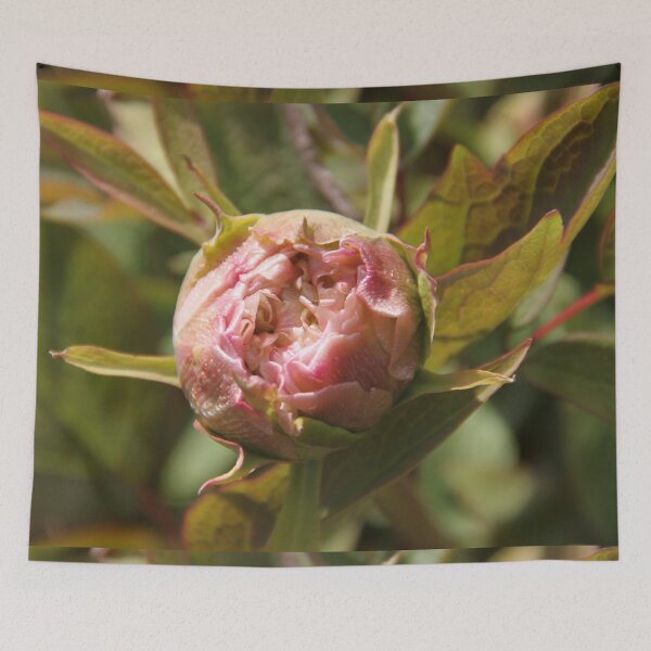 Item preview, Peony bud spring flower blossom	 designed and sold by EstelleRossetti.